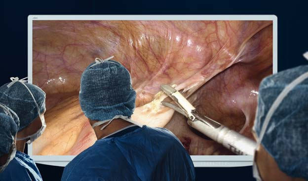 Advanced Endoscopic and Real-Time Diagnostic Imaging